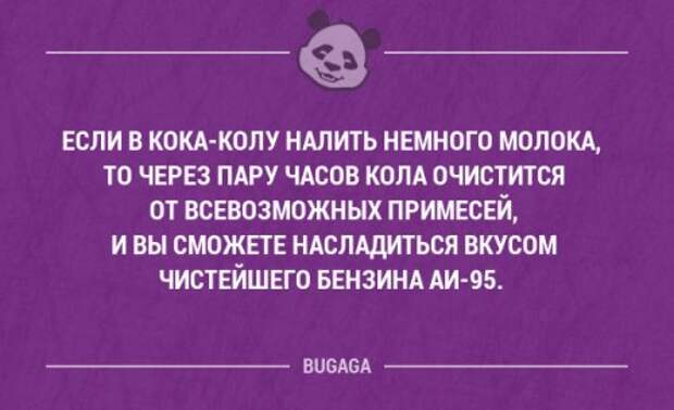 Смешные мысли в картинках с надписями. Часть 39 (17 шт)