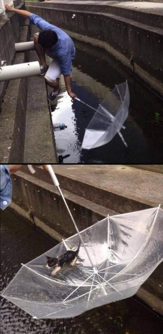Потрясающие фотографии, которые мы не могли вам не показать (17 шт)
