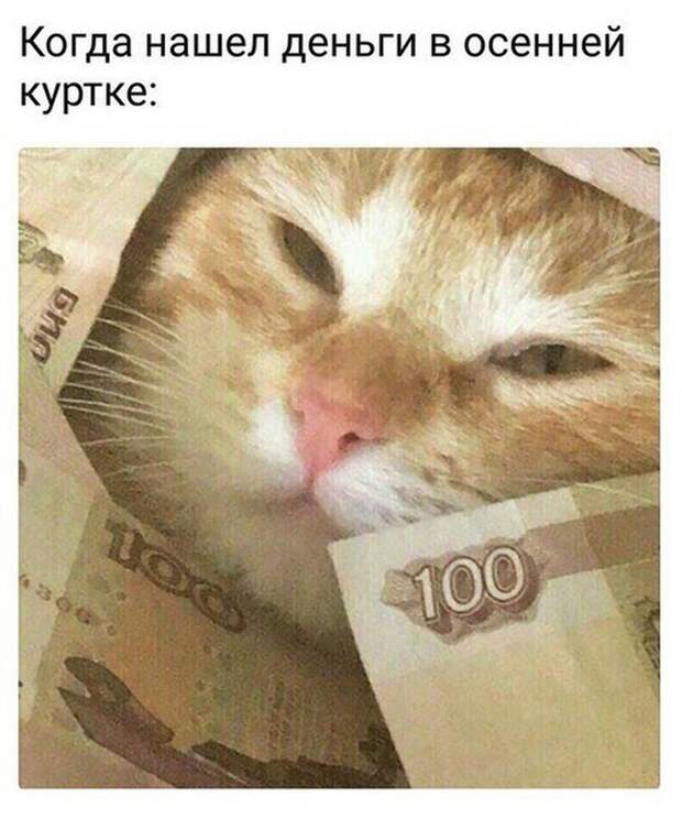 Четкая закупка, братан я в Европу и многое другое в воскресных прикольных картинках