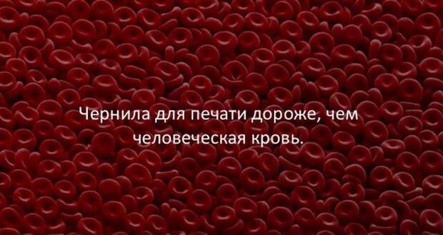 Интересные факты для любознательных (30 картинок)