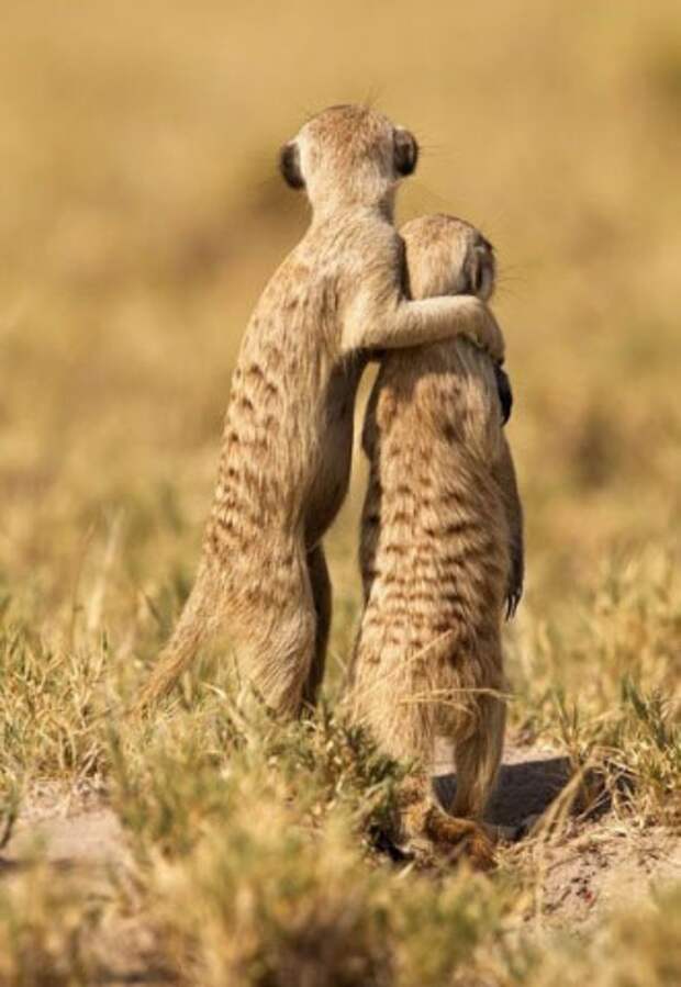 Эмоциональные снимки  конкурс, лучшие, фото, фотоподборка