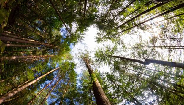 Глава Кубани выступил за сохранение природных территорий