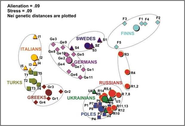 Генетические дистанции между разными народами (картинка взята из ОИ)