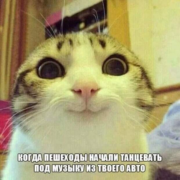 АВТОприкольные картинки (30 шт)