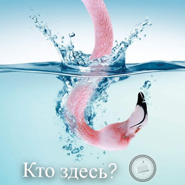Кто здесь