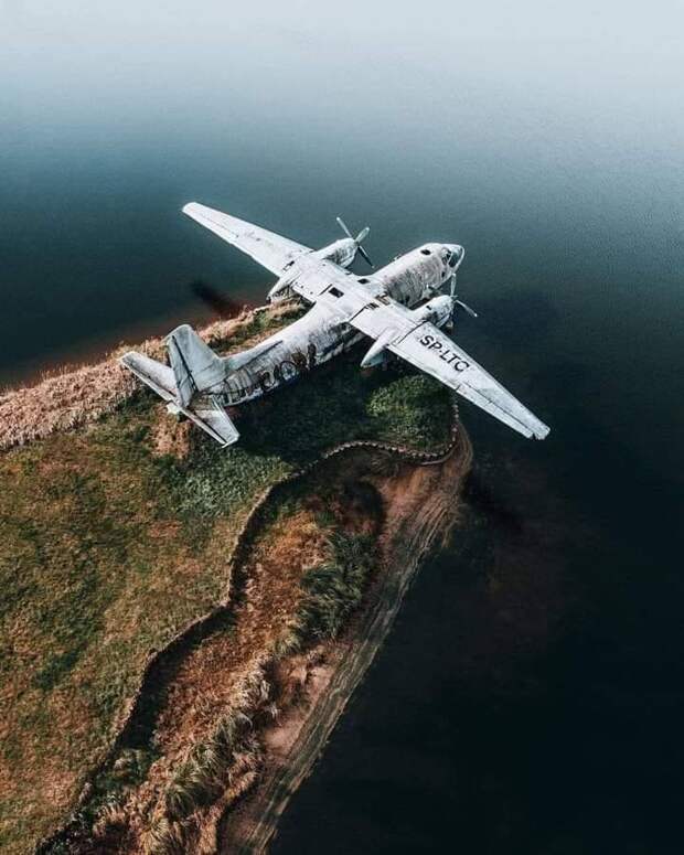 Подборка прикольных картинок