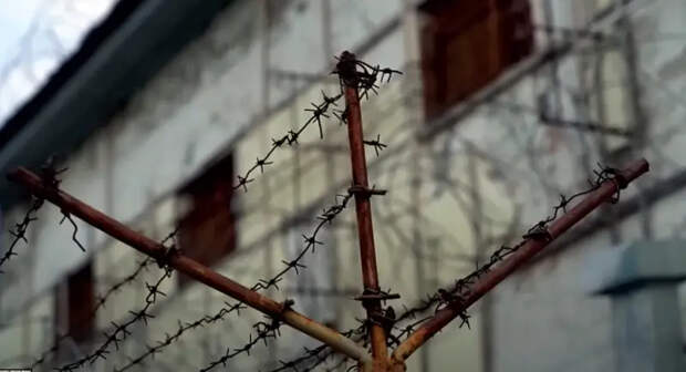 Что ждёт после суда исполнителей теракта в «Крокус Сити» на примере ранее осужденных боевиков