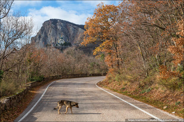 Крымская зима Крымская зима