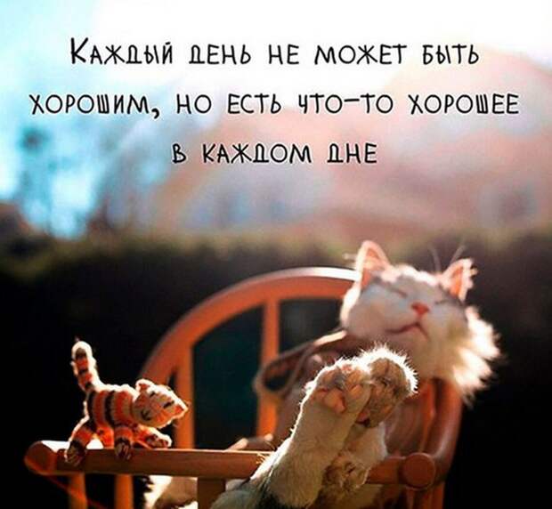 Интересные и смешные картинки (54 фото)