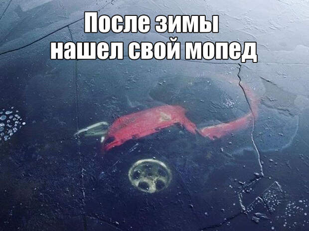 Прикольные картинки картинки из сети, прикол, юмор