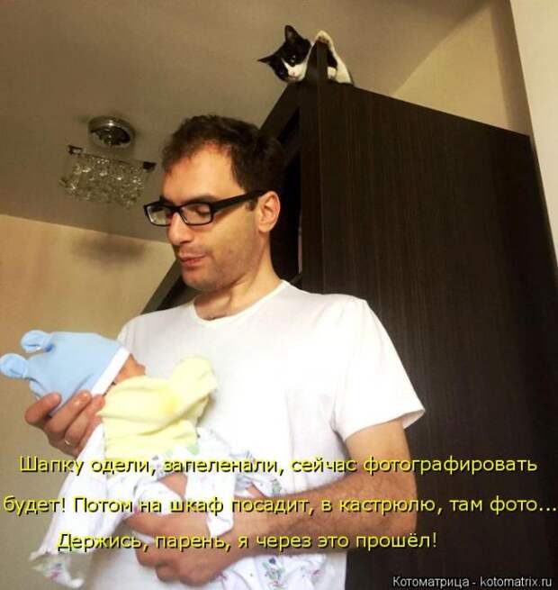 Лучшие котоматрицы недели (50 фото)
