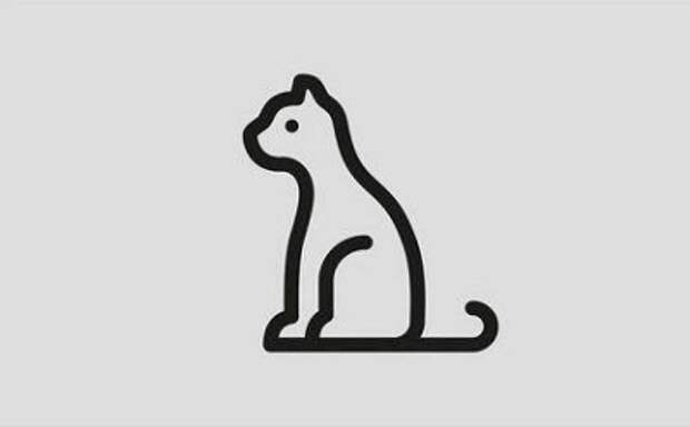 кот
