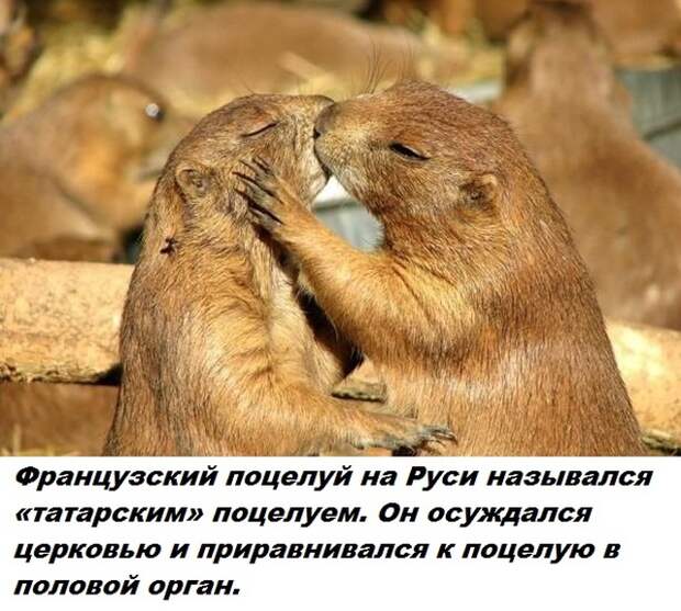 Самые бесполезные факты о которых вы не знали