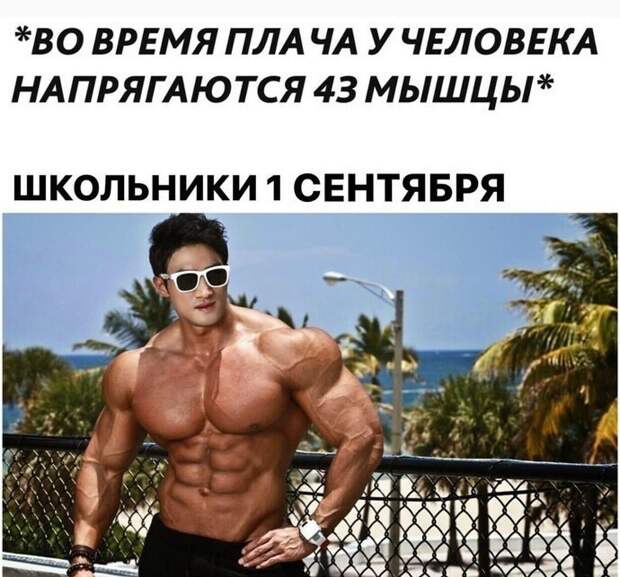 Учебный год-2020: как всё началось Учебный год-2020: как всё началось