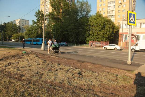 Фото: Денис Афанасьев