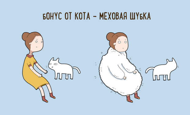 10 шуточных причин, по которым стоит завести себе кота