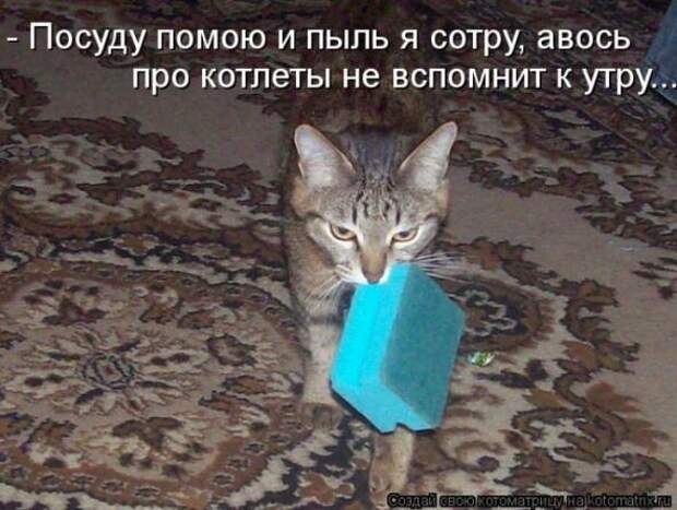 Котоматрицы (картинки с надписями)