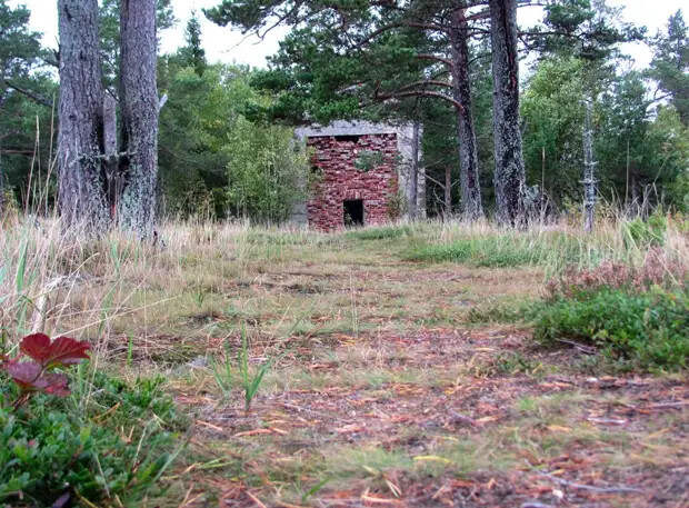 На катере по внутренним проливам Валаама: фотоистория