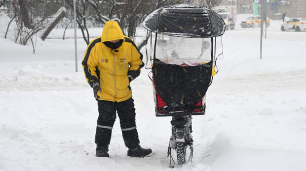 Идут учиться: количество вакансий курьеров на полной занятости впервые снизилось