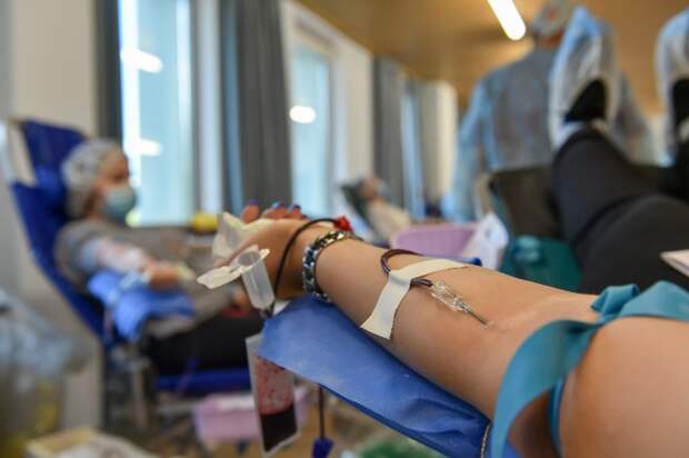 Фото: Гришкин Денис/ АГН Москва