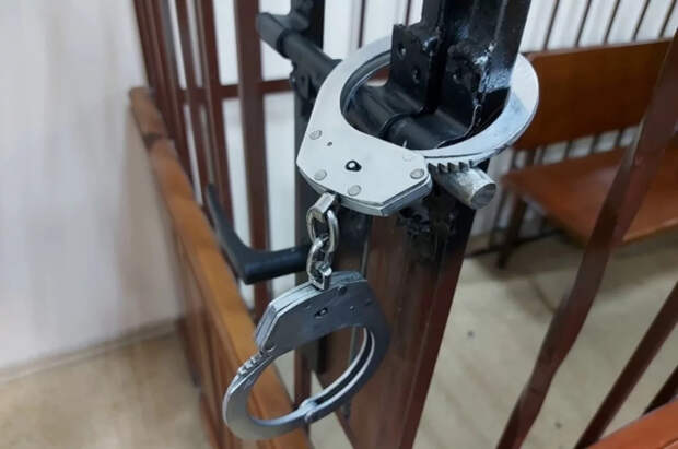 Третий задержанный по делу Алексеева признался в подготовке преступления