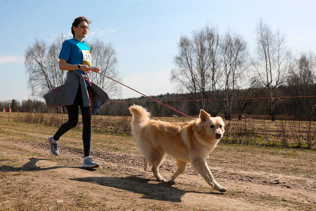 Хозяин с собакой. ©  Зыков Кирилл/Агентство «Москва»