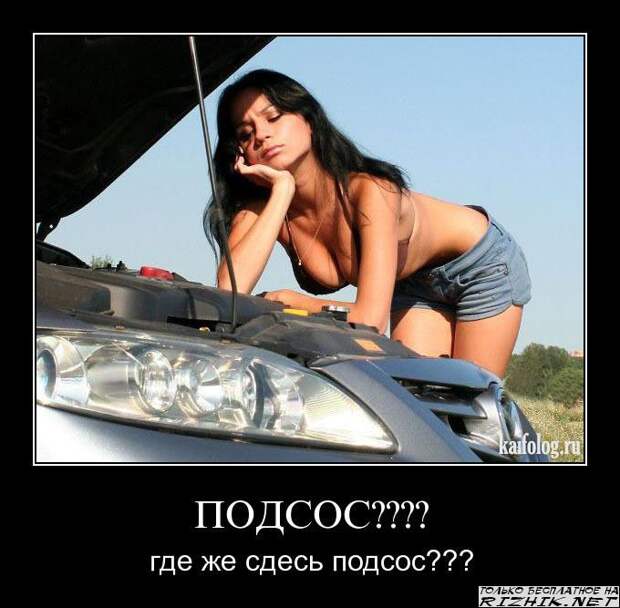 Прикольные картинки на Live4Fun - смешные картинки и фото-приколы.