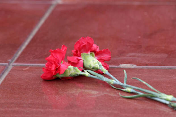 В сквере на Павла Корчагина возложат цветы в память о погибших героях войны
