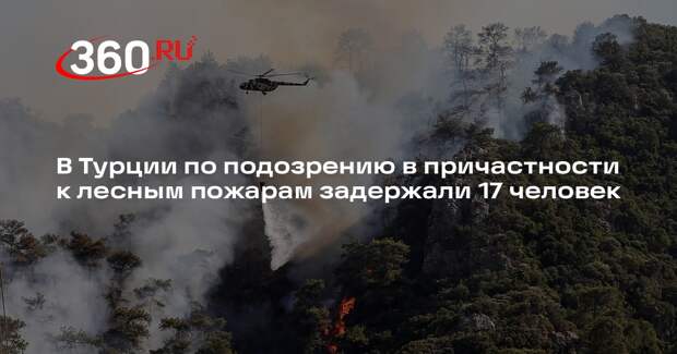 В Турции по подозрению в причастности к лесным пожарам задержали 17 человек