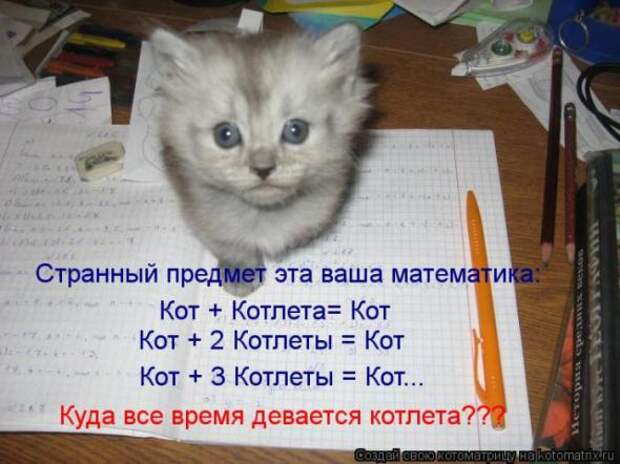 Котоматрицы(картинки с надписями)