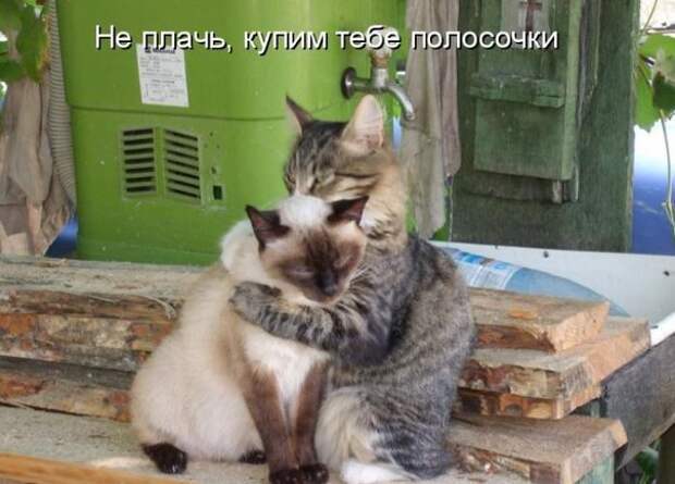LaYGN--_aCc (604x434, 59Kb)