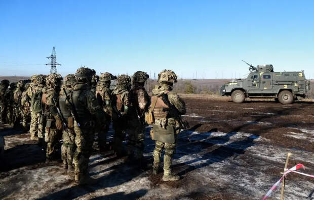 ВСУ в 2024 году: пауза или наступление