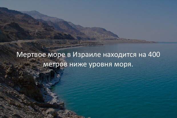 Интересные факты в картинках