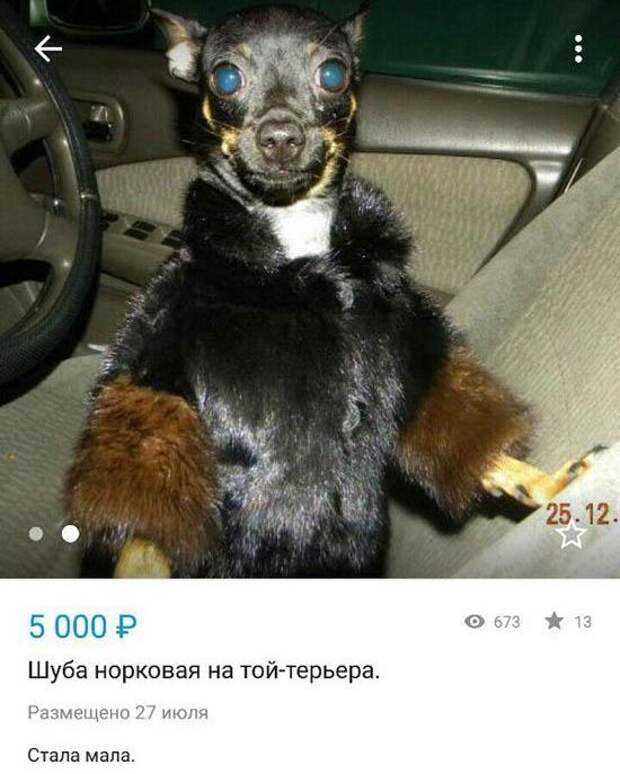 Прикольные картинки. Вечерний выпуск (51 фото)
