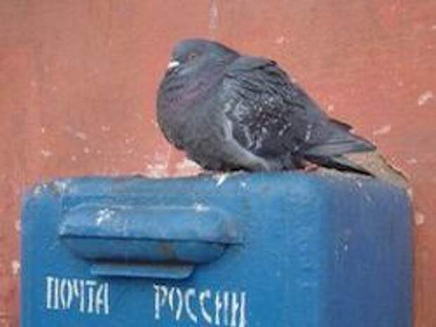 Компания "Почта России" готовится к процедуре ребрендинга