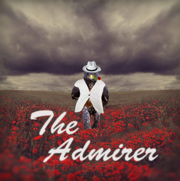 The Admirer