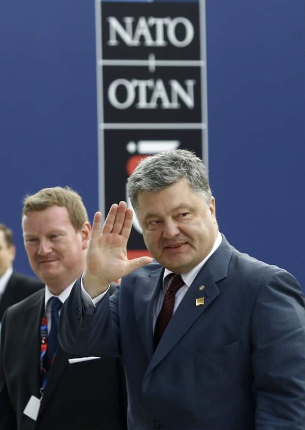 Порошенко предложил научить НАТО воевать с Россией Порошенко предложил научить НАТО воевать с Россией