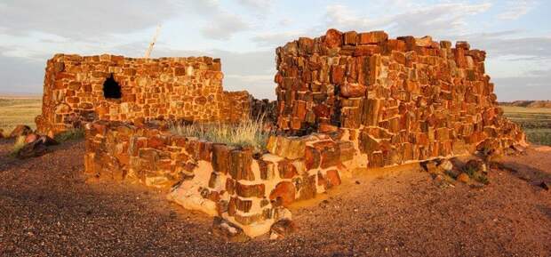 Тысячелетний дом Petrified Forest, Тысячелетний, дом