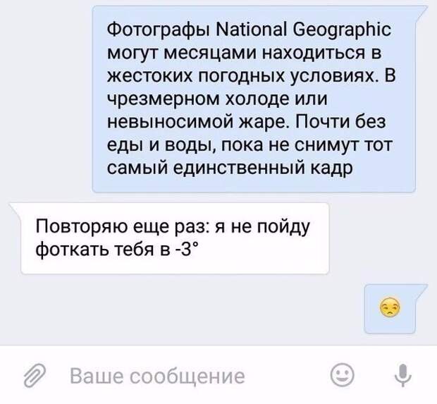 Подборка веселых картинок с надписями до слез (10 фото)