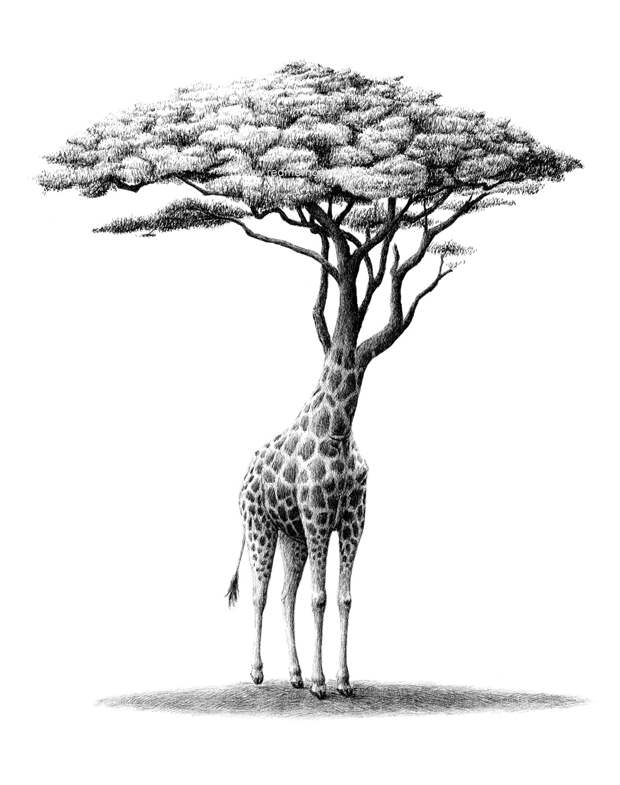 4ce2ca58371803.59f9cd32491e0.jpg 4ce2ca58371803.59f9cd32491e0.jpg