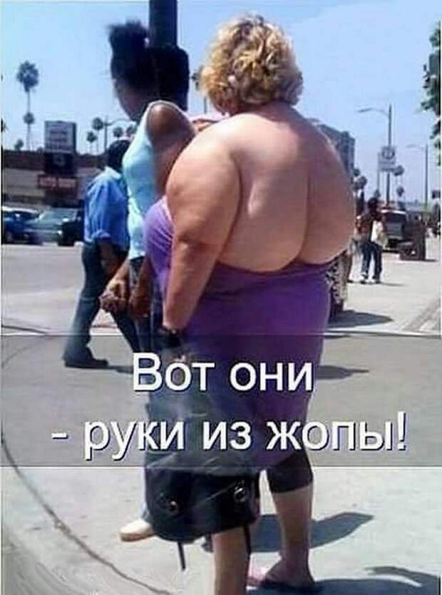 Четкая закупка, братан я в Европу и многое другое в воскресных прикольных картинках