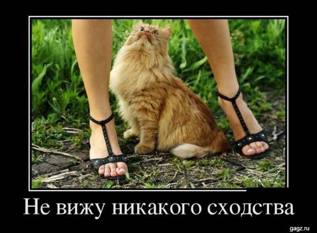 demotivators_funny_pics_gagz_ru_001171