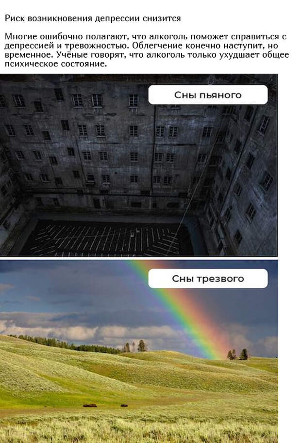www.vsyako.net