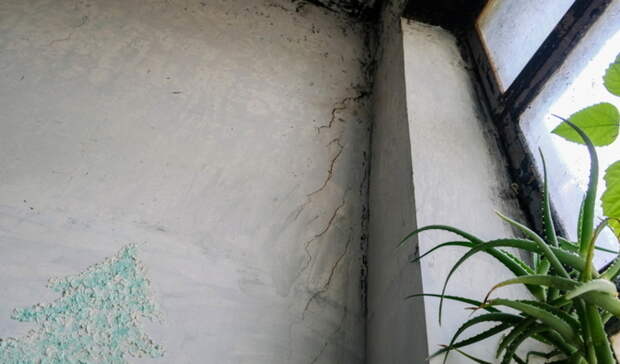 ГЖИ прокомментировала переселение многодетной семьи в Дзержинске в дом с крысами