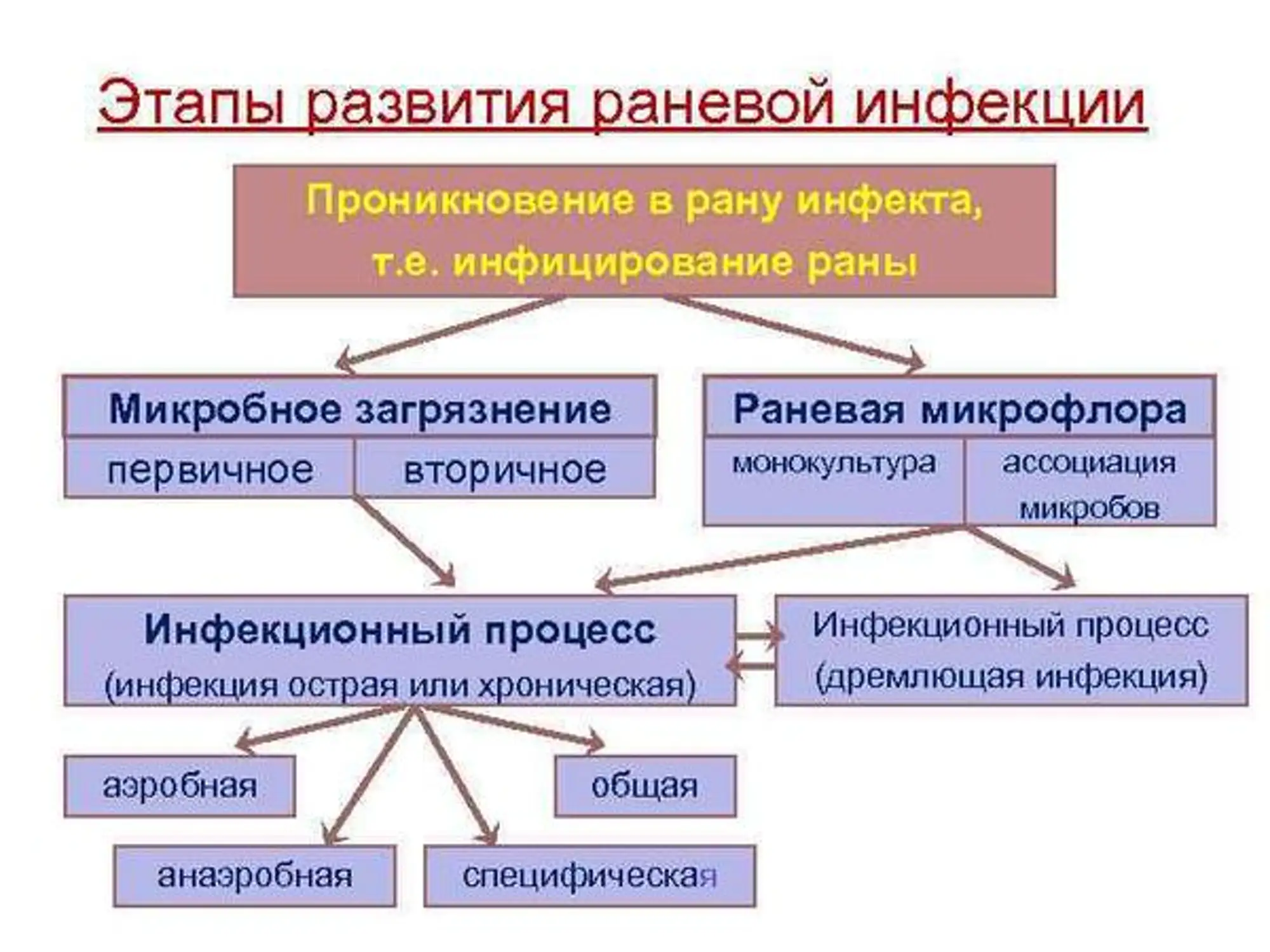 МедРу - Главная страница - Медиаплатформа МирТесен