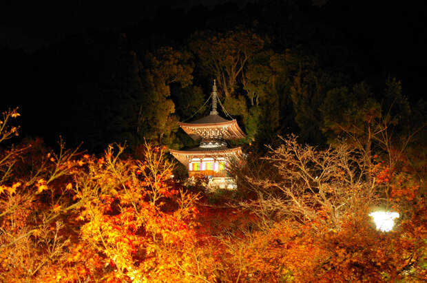 Eikando_Zenrinji-temple_Tahoto (800x565, 531Kb)
