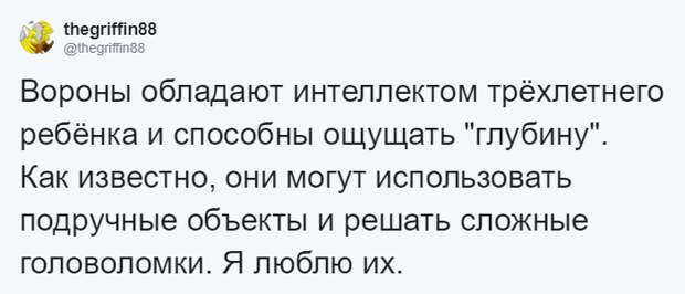 Отдельно были отмечены и сами вороны Стюарт Далквист, в мире, ворона, дар, добро, история, люди, птицы