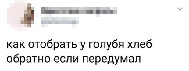 Тупанём? Тупанём?