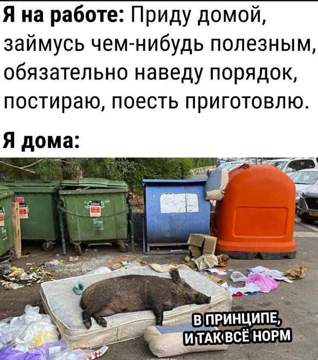 Прикольные картинки для поднятия настроения (20)