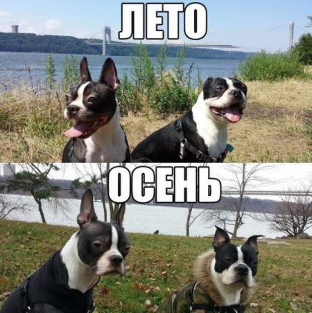 Прикольчики))) 